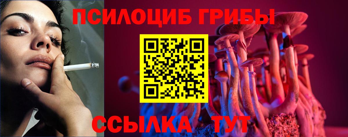 Псилоцибиновые грибы Psilocybine cubensis  Вход с VPN  Каспийск  Псилоцибиновые грибы Magic Shrooms 
