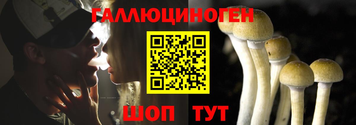 Галлюциногенные грибы Magic Shrooms Каспийск