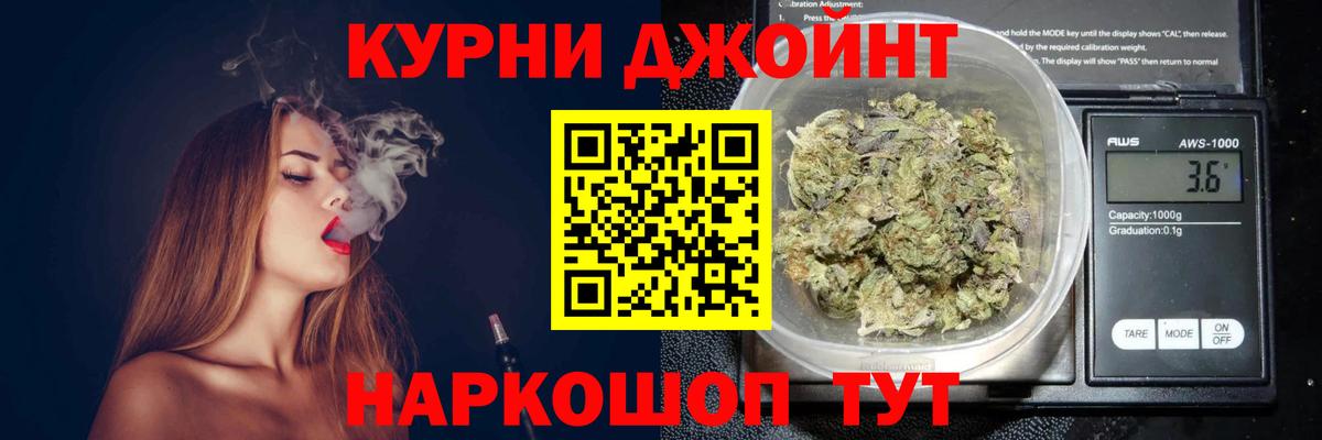 Канабис OG Kush Каспийск